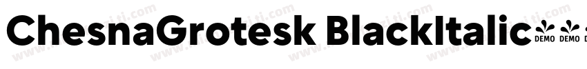 ChesnaGrotesk BlackItalic字体转换